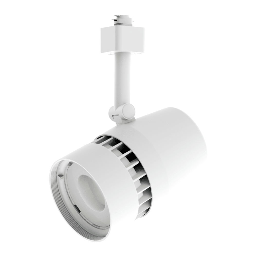 ディッキア ソミスライツ Dyckia Somis Lights ディッキア・ズゴック：Dyckia 'Z'gok' | Dyckia Maniax