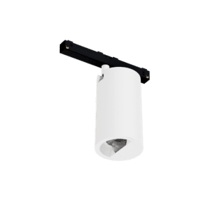 LCM_GD_SC_ASN_LS.png