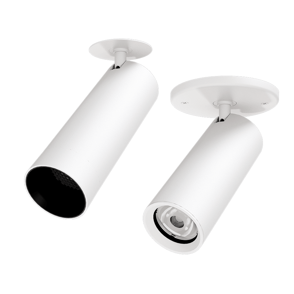 PW - Perfect White LCV controls-ready canopy mount head with standard ring (right) and discreet canopy and matching snoot with louver (Left)